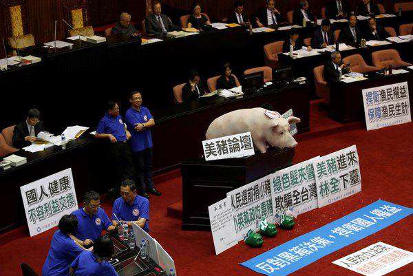 اعتراض مزرعه‌داران تایوانی به تصمیم دولت برای واردات گوشت خوک از آمریکا؛